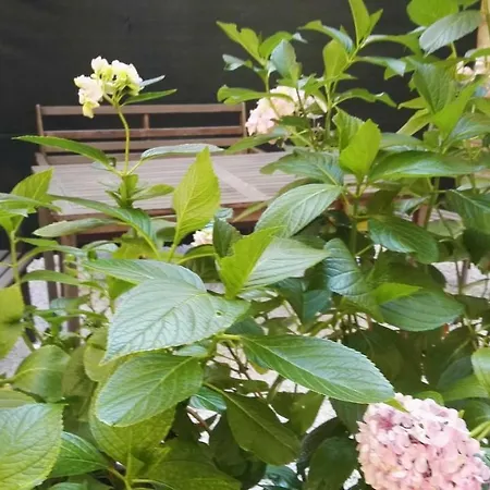 アパート Casa Deva *