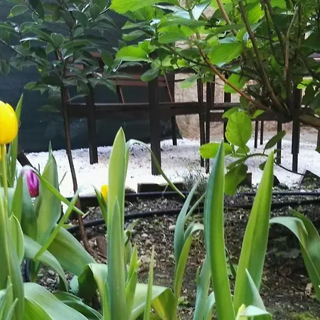 Casa Deva Apartment *