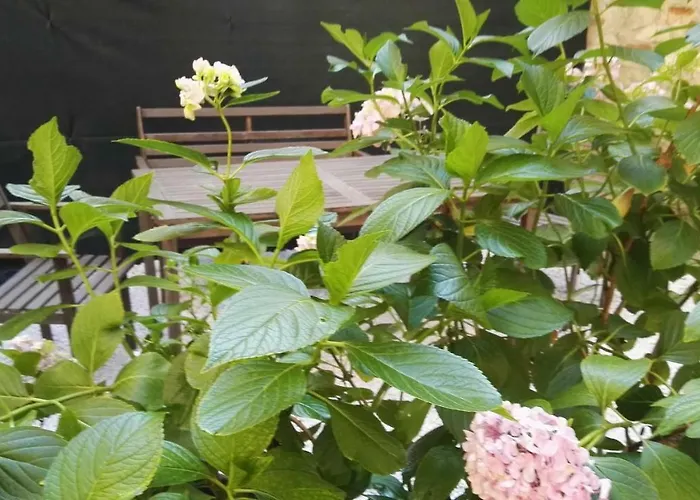 Lägenhet Casa Deva *