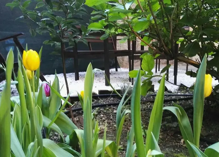 Casa Deva דירה *